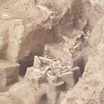 Nella stazione di preservazione paleontologica. I resti risalgono a oltre 2 milioni di anni fa!