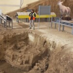 Nella stazione di preservazione paleontologica. I resti risalgono a oltre 2 milioni di anni fa!